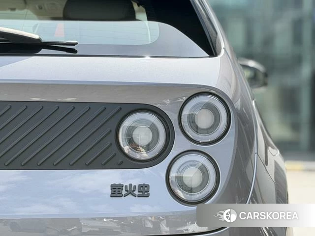 firefly firefly Unknown id 4198869 из Китая 19