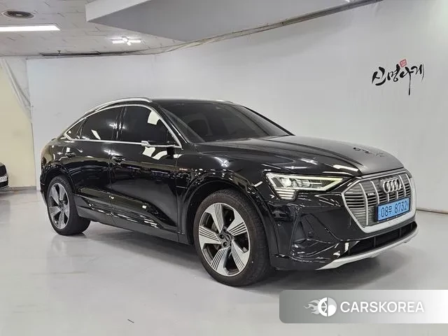 Audi e-Tron id 3294542 из Кореи 13