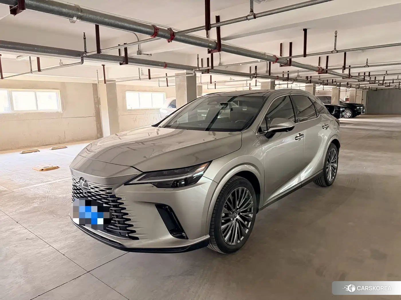 Lexus RX 2023 Champagne/brown из Китая, фото 3