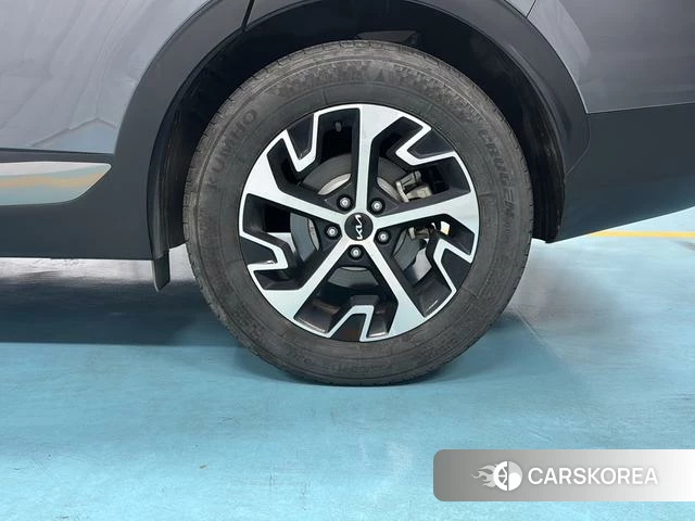 Kia Lion Platinum expands the world id 4277449 из Китая 13