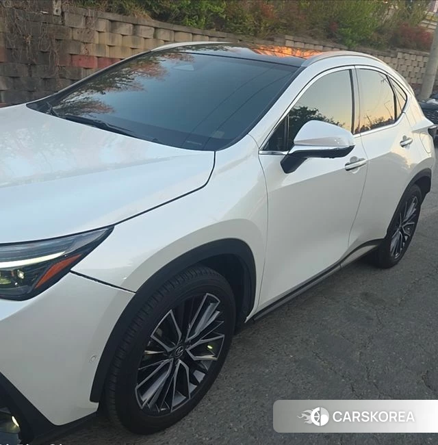 Lexus NX350h Second generation 2023 Белый из Кореи, фото 3