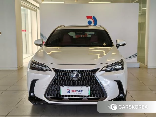 Lexus NX PHEV id 4272681 из Китая 23