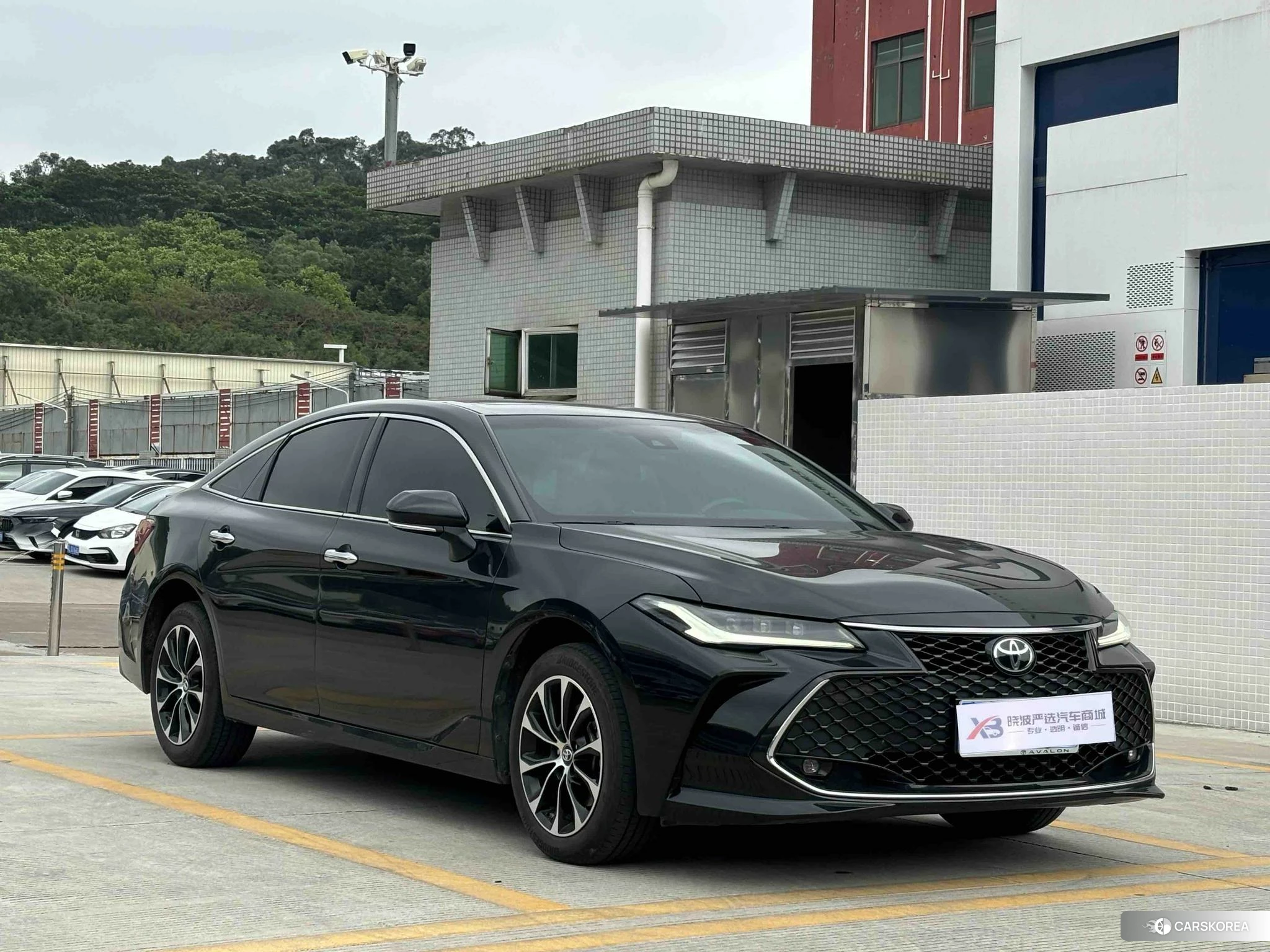 Toyota Asian dragon id 4419181 из Китая 10