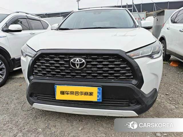 Toyota Corolla Sharp amplifier 2023 Белый из Китая, фото 3