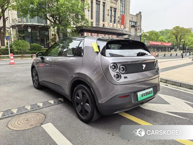 firefly firefly Unknown id 3969201 из Китая 9