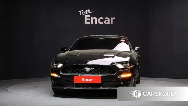 Ford Mustang id 3665839 из Кореи 13