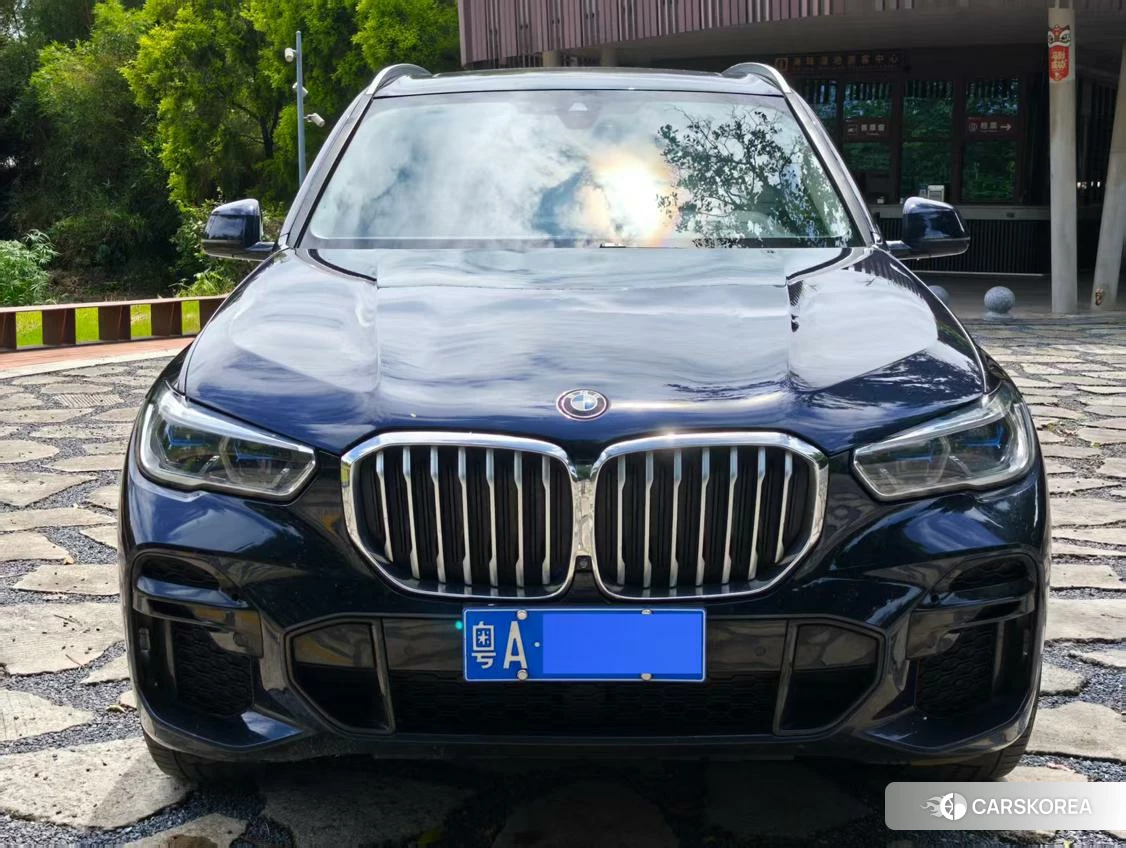 BMW X5 (imported) 2021 Синий из Китая, фото 4