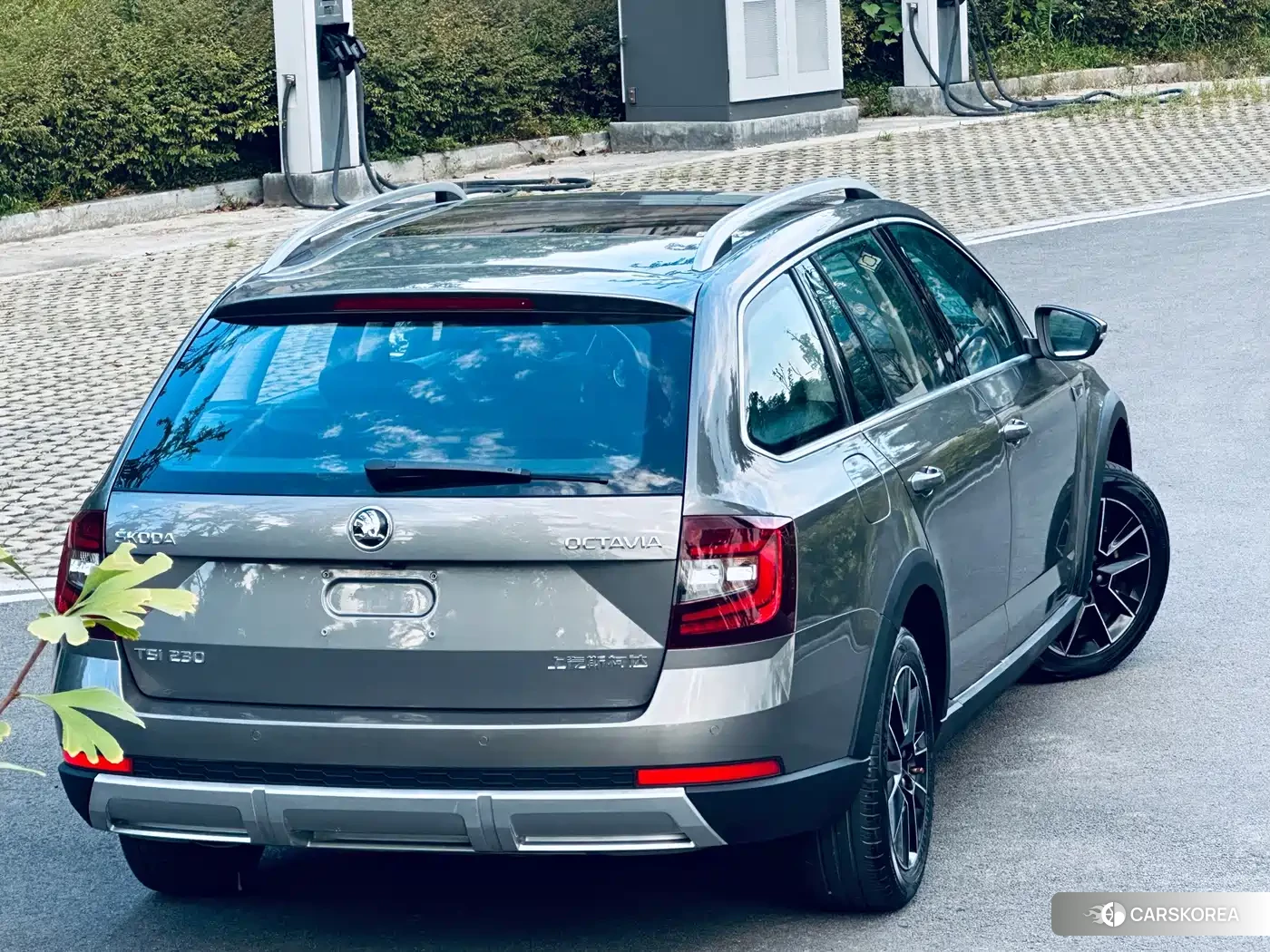 Skoda Octavia 2018 Champagne/brown из Китая, фото 5