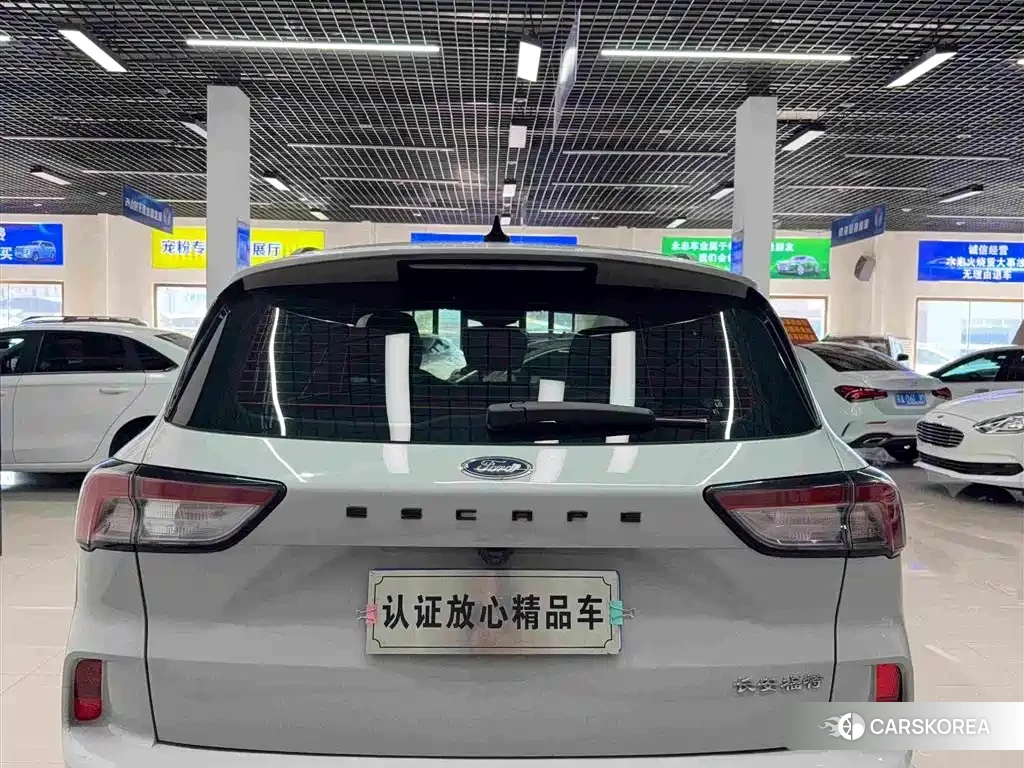 Ford Ruiji 2023 Silver/gray из Китая, фото 3