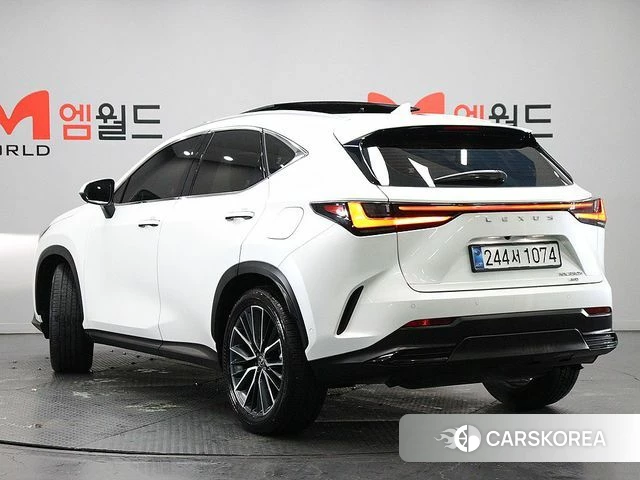 Lexus NX350h Second generation 2025 Белый из Кореи, фото 4