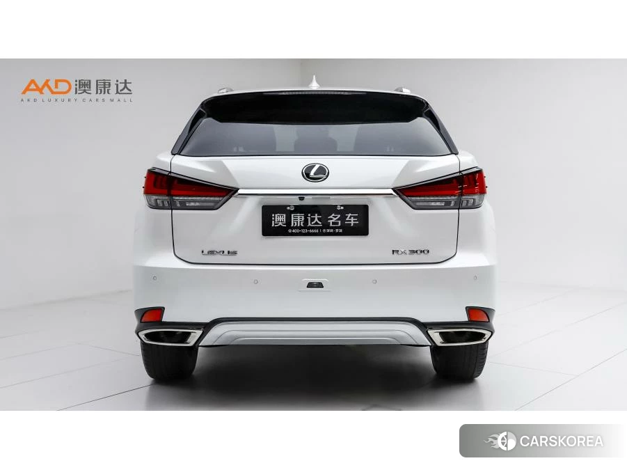 Lexus RX 2020 Белый из Китая, фото 3