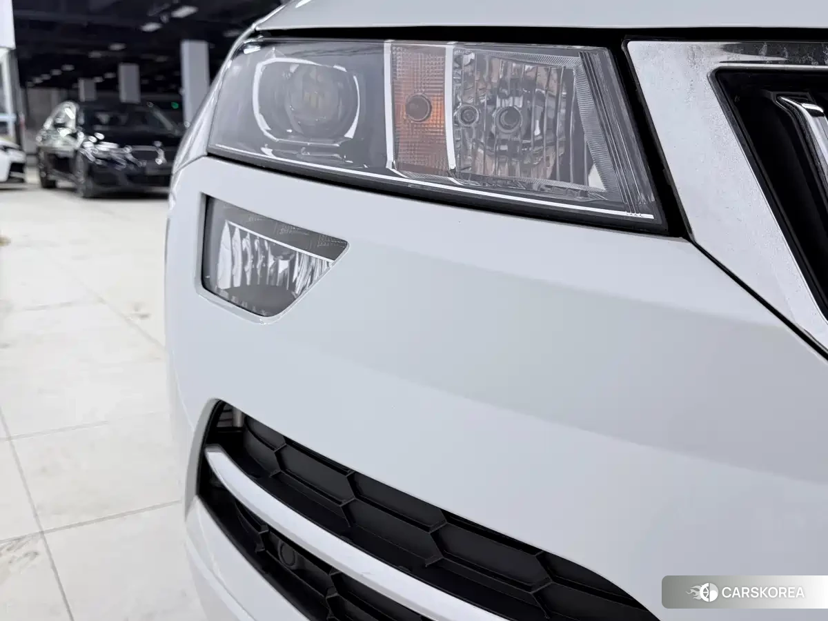 Skoda Krok id 4539010 из Китая 18