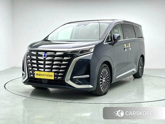 Denza D9 DM id 4219970 из Китая 13