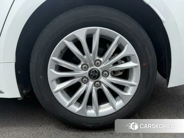Toyota Asian lion id 4262161 из Китая 18