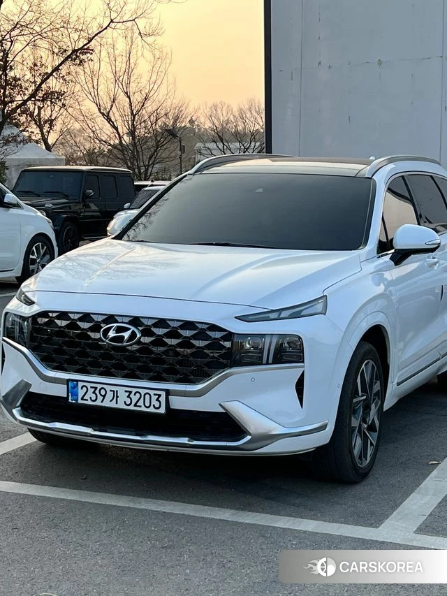 Hyundai The New Santa Fe id 4212023 из Кореи 9