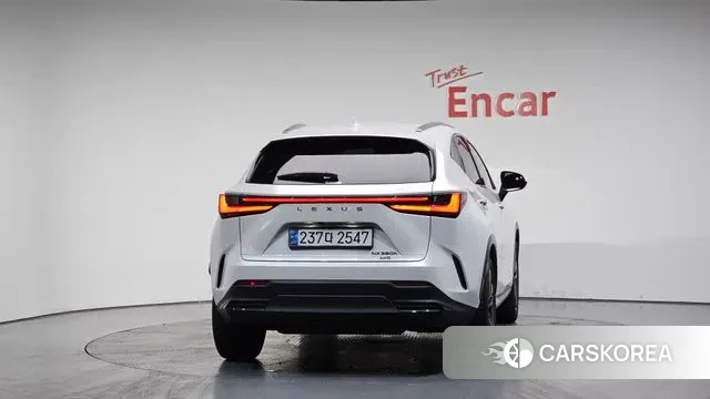 Lexus NX350h Second generation id 3580682 из Кореи 13