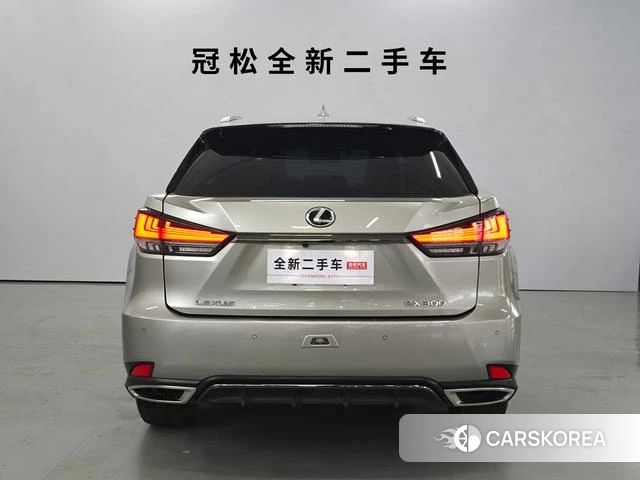 Lexus RX id 4238882 из Китая 17