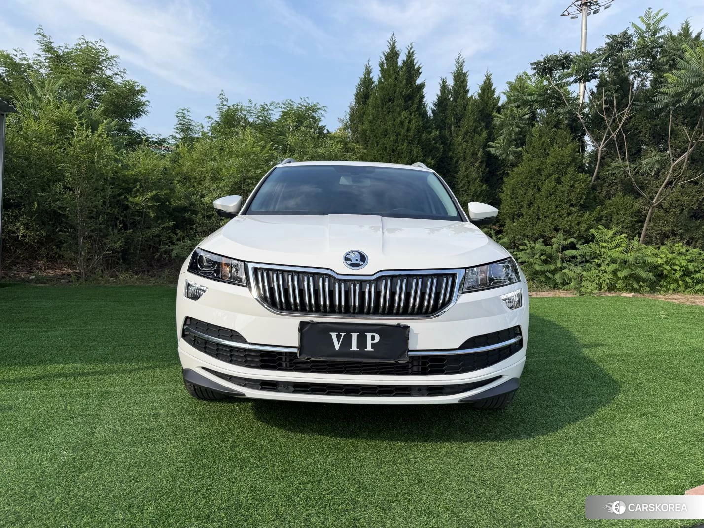 Skoda Krok id 4512860 из Китая 9