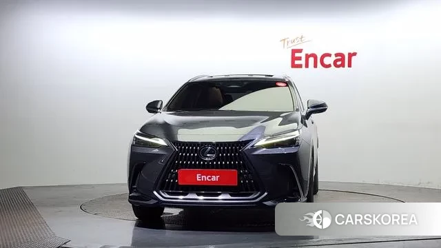 Lexus NX450h + 2nd generation id 3043222 из Кореи 13