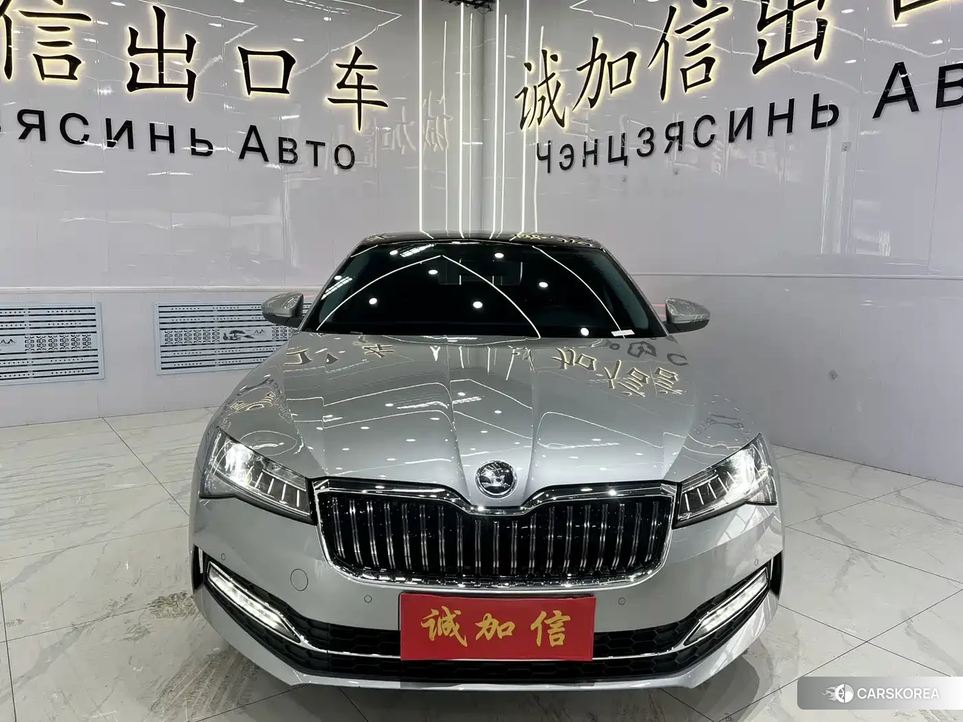 Skoda Speed pie id 4538812 из Китая 15