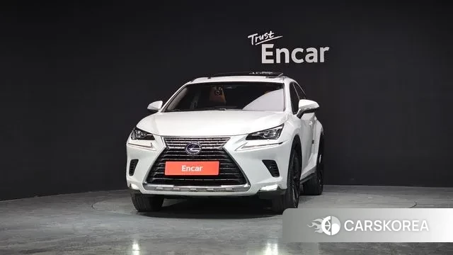 Lexus NX300h id 3761101 из Кореи 13