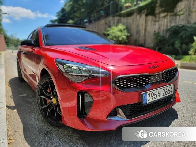 Kia Stinger Meister id 4676547 из Кореи 13