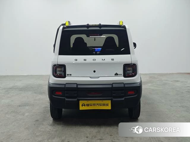 Geely Galaxy panda id 4211901 из Китая 13
