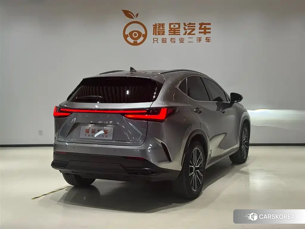 Lexus NX id 4659880 из Китая 9