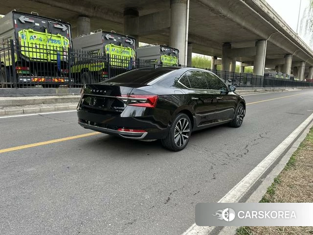 Skoda Speed pie id 3858043 из Китая 9