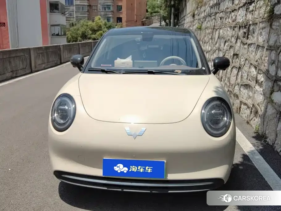 Wuling Automobile Bingguo Pro id 4577761 из Китая 9