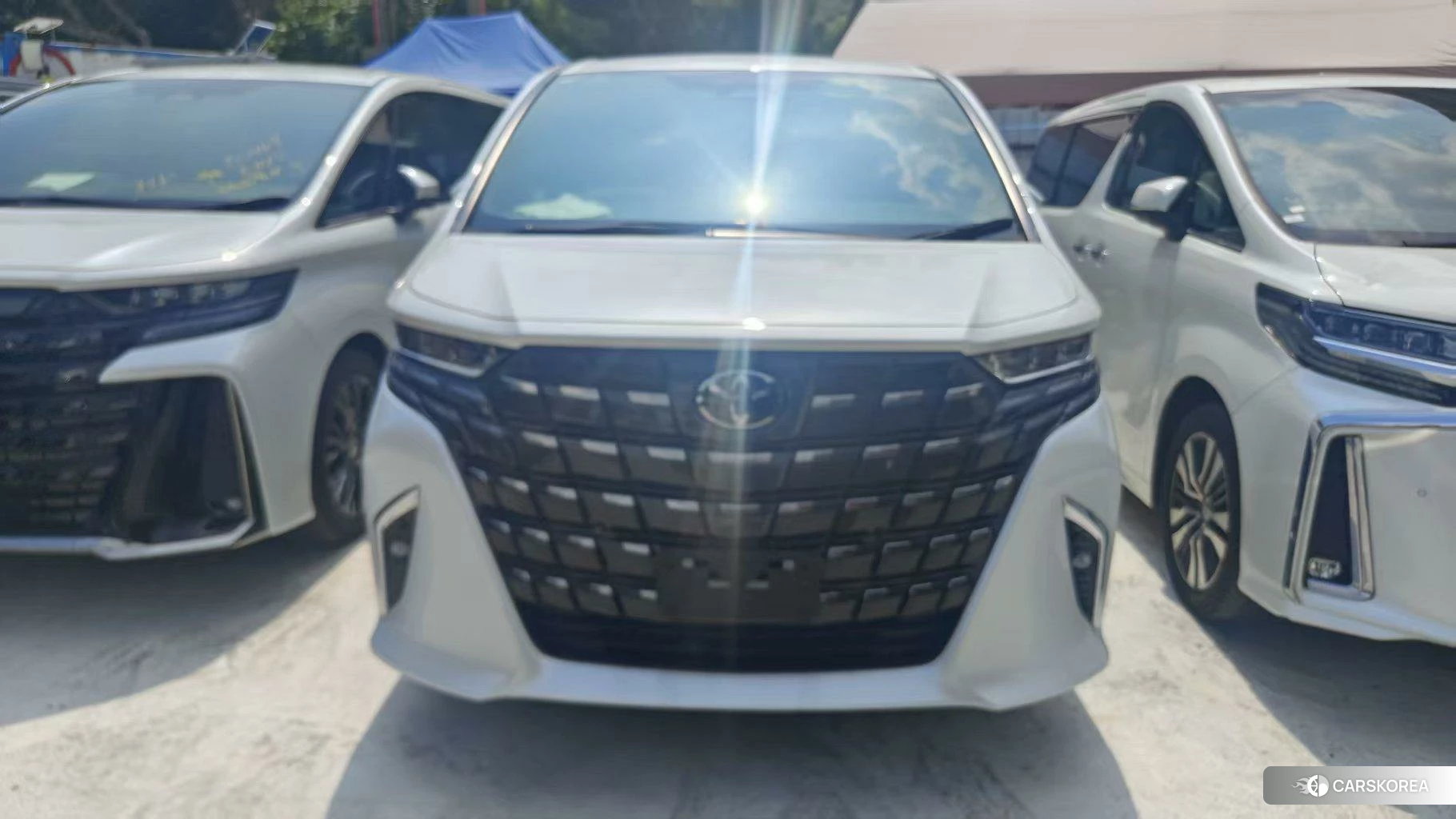 Toyota Elfa 2023 Белый из Китая, фото 3