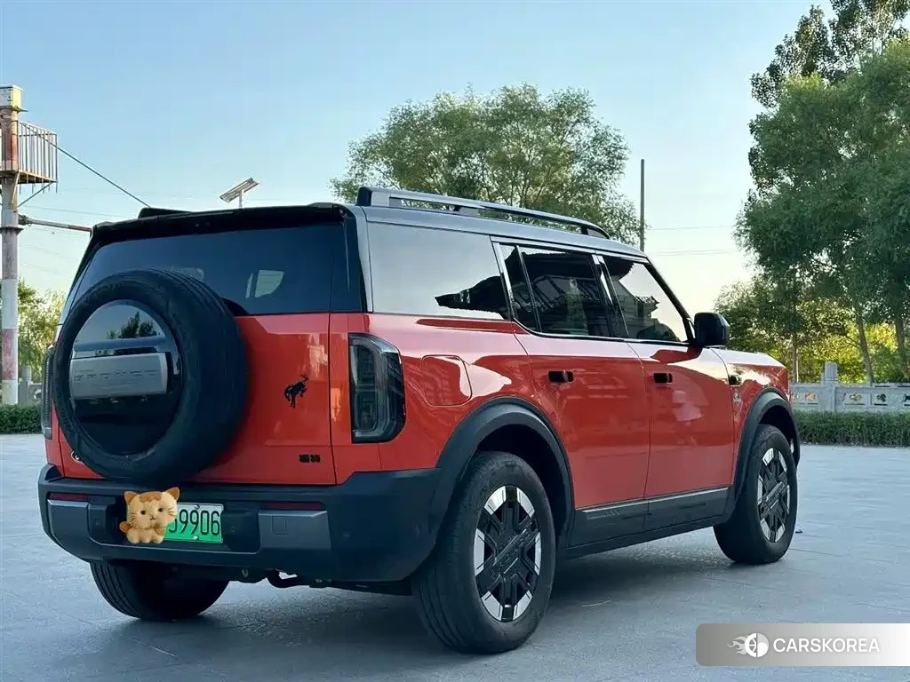 Ford Smart Fun Horse 2026 Белый из Китая, фото 4