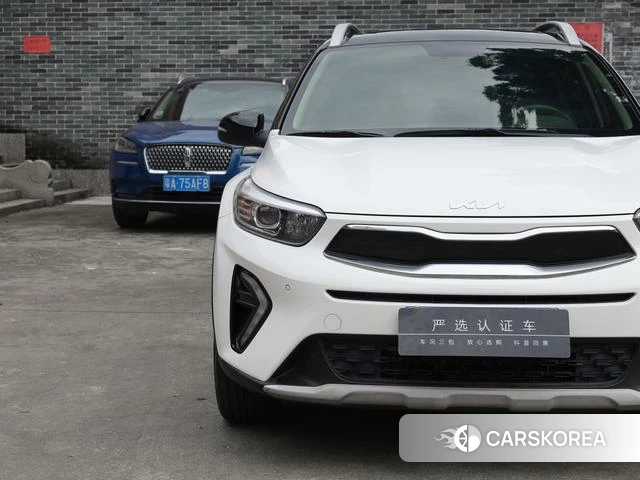 Kia Yi Ran id 4367534 из Китая 21