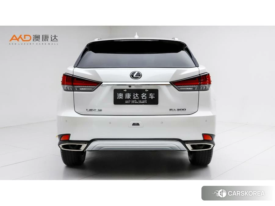 Lexus RX 2020 Белый из Китая, фото 3