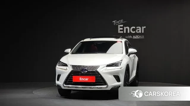 Lexus NX300h id 3660528 из Кореи 13
