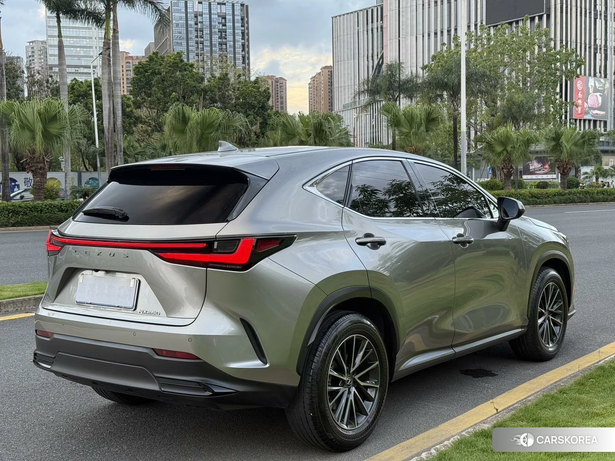 Lexus NX id 4421141 из Китая 7