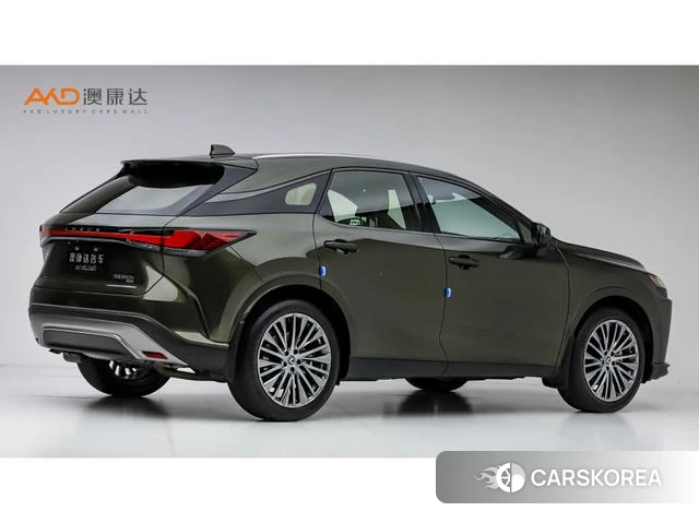 Lexus RX 2023 Зеленый из Китая, фото 3