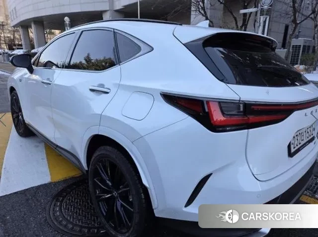 Lexus NX450h + 2nd generation 2022 Белый из Кореи, фото 3