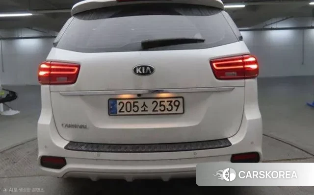 Kia The New Carnival 2019 Белый из Кореи, фото 5