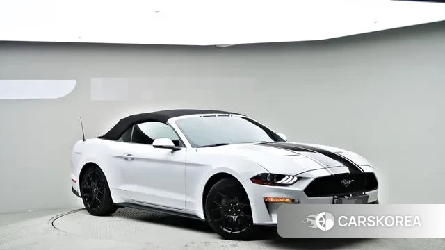 Ford Mustang id 3344287 из Кореи 13