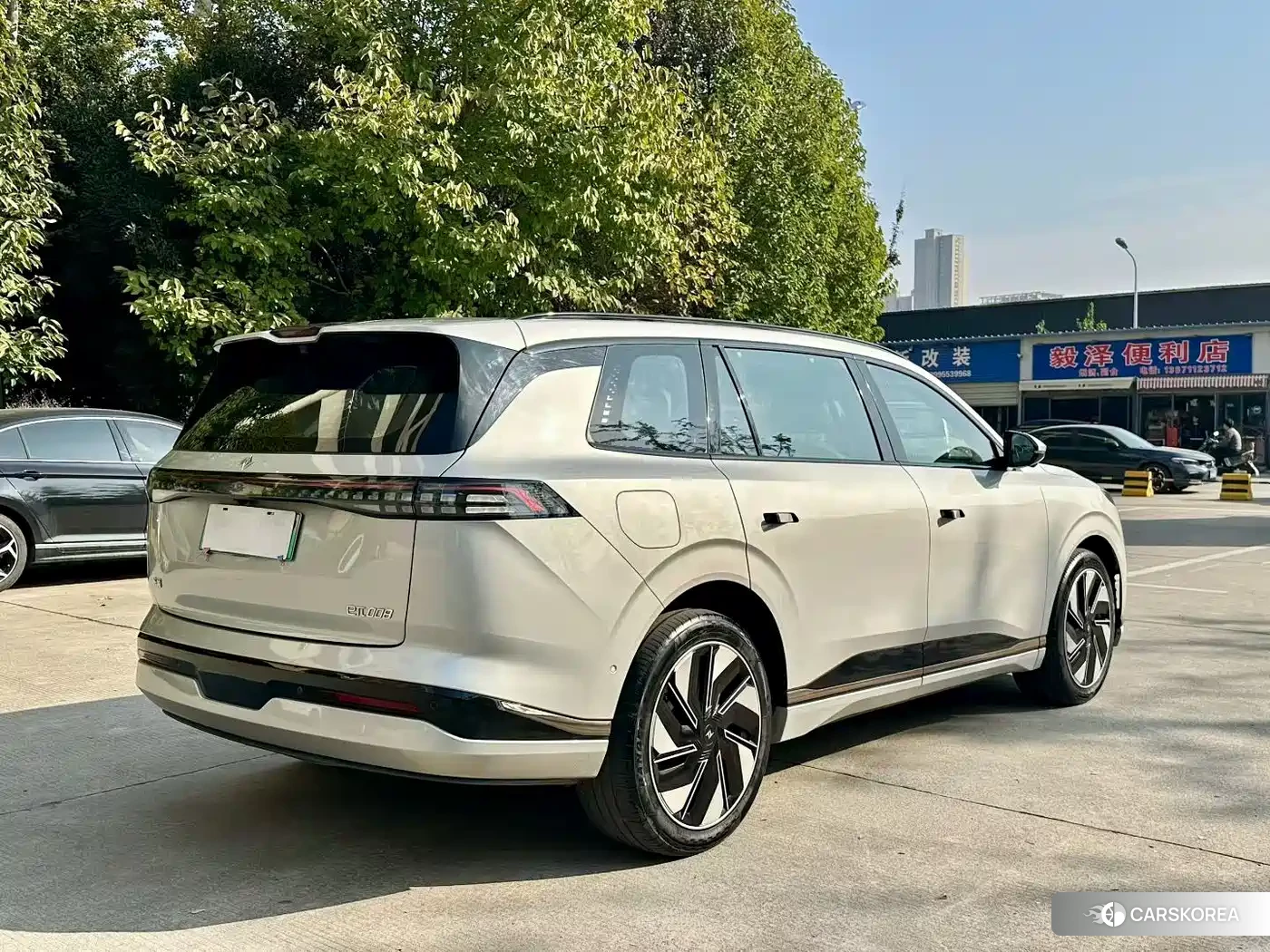 Dongfeng Yipai eπ008 2024 Champagne/brown из Китая, фото 3