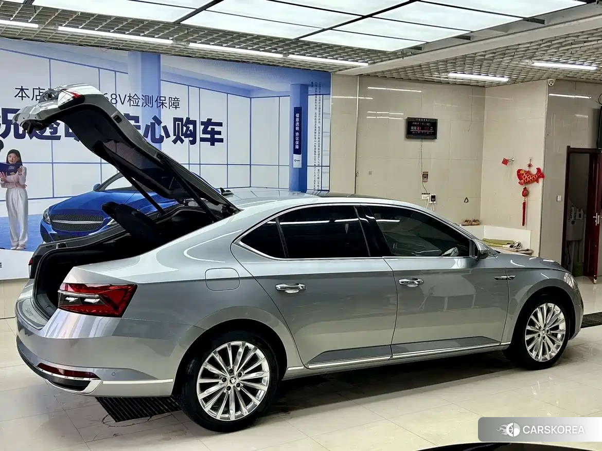 Skoda Speed pie id 4577624 из Китая 16