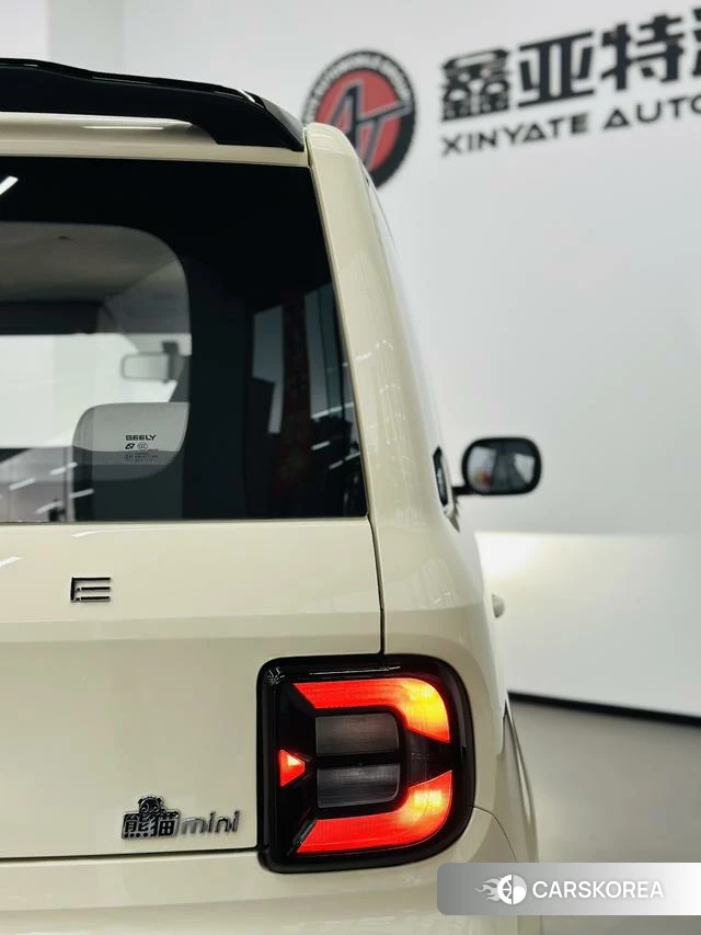 Geely Galaxy panda id 4210342 из Китая 14