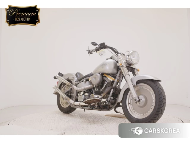 Harley-Davidson Softail Fat Boy FLSTF1340 2020 из Японии, фото 5