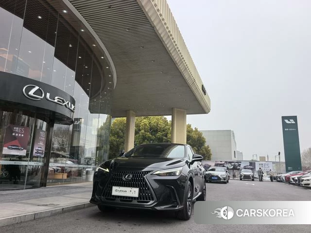 Lexus NX id 4209646 из Китая 10