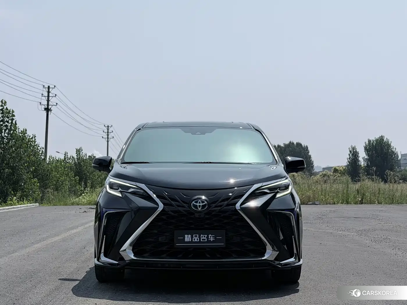 Toyota Sienna id 4589523 из Китая 8
