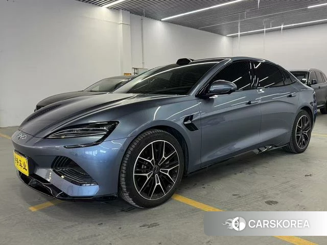 BYD seal id 3909028 из Китая 8