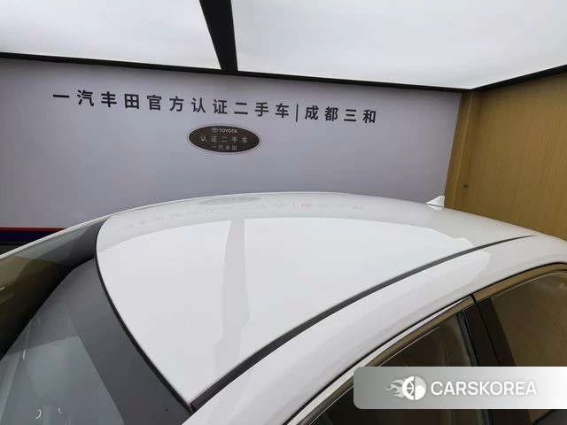 Toyota Asian lion id 4254208 из Китая 13
