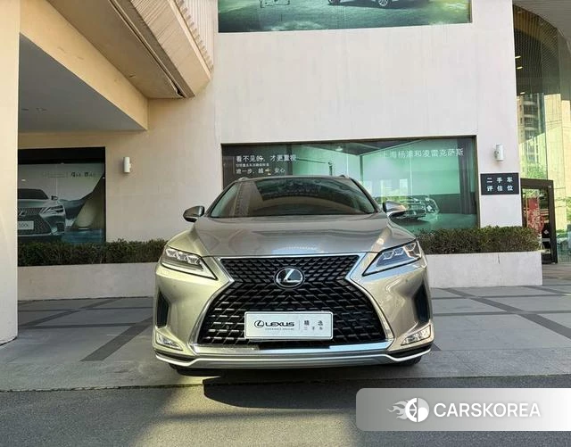 Lexus RX id 4259790 из Китая 8
