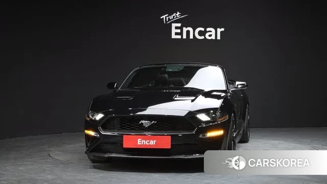 Ford Mustang id 3737173 из Кореи 13